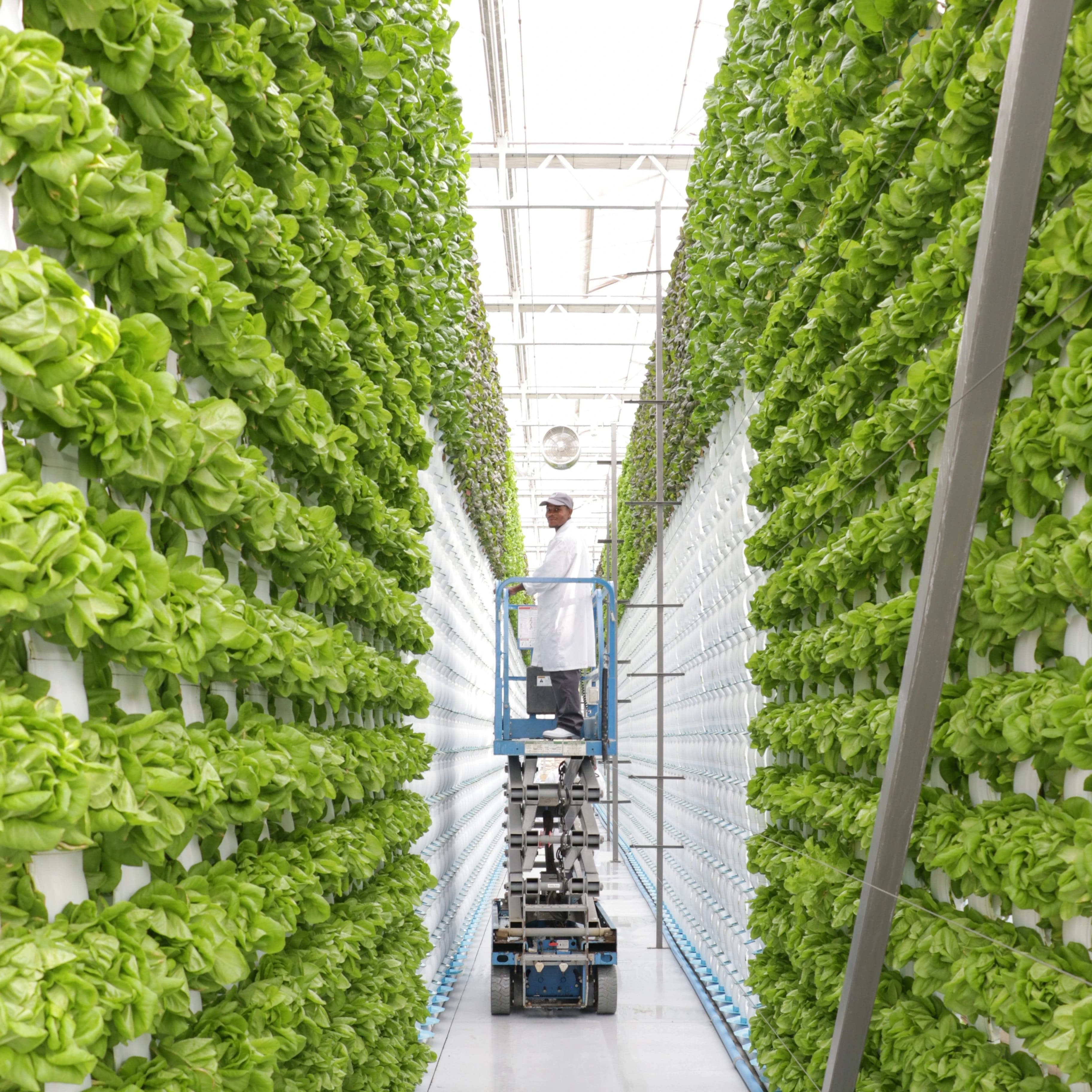 Agrartechnologie & Pflanzenbau